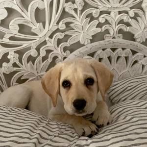 Meet your Posher, Leeanne